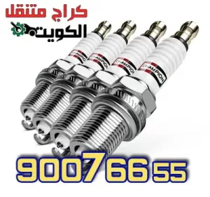 البواجي البواجي